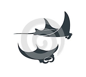 Stingray logo. Isolated stingray on white background. Manta